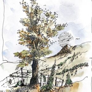 Digital Illustration & Painting with Navid Masoudnia
